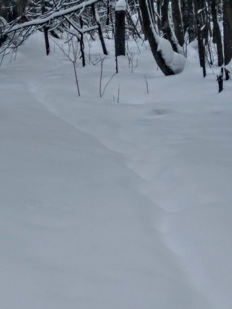 的足迹图片下载