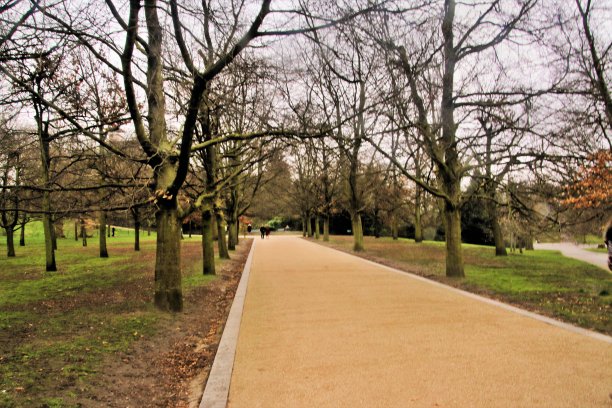 格林威治公园的景色图片下载