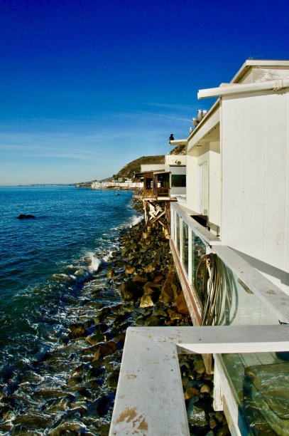 海鸥栖息在马里布。图片下载