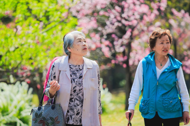 樱花和老人图片下载