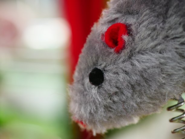 猫玩具图片下载