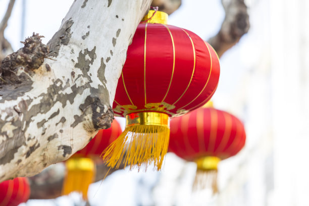 中国的灯笼图片下载