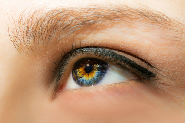 女性眼睛与长睫毛和专业的化妆特写微距图片下载