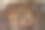 玉佛寺的金色宫殿壁画图片下载