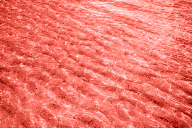 闪亮的水纹理沙滩沙的背景。2019年新颜色的趋势摄影——活珊瑚彩通。图片下载