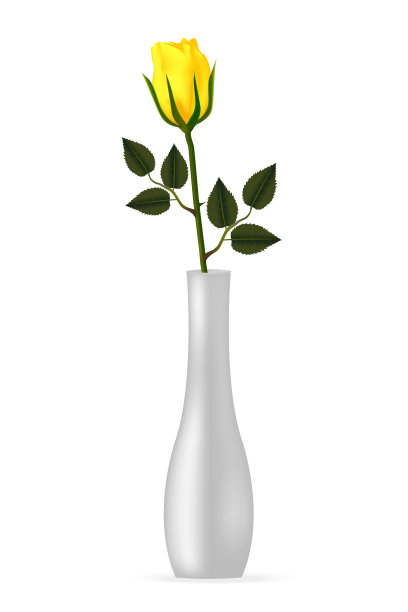 模型优雅的花瓶与黄色玫瑰。图片下载