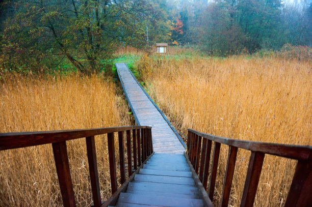 游客观景台图片下载