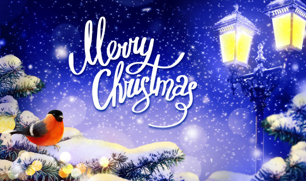 冬天的背景。圣诞卡或墙纸。红腹灰雀在白雪覆盖的冷杉树枝上。路灯照明。图片下载