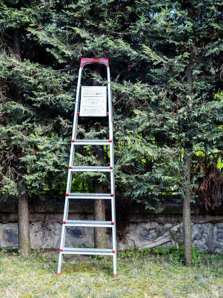 树前有双金属梯子图片下载