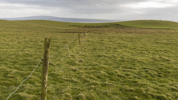 爱尔兰领域图片下载