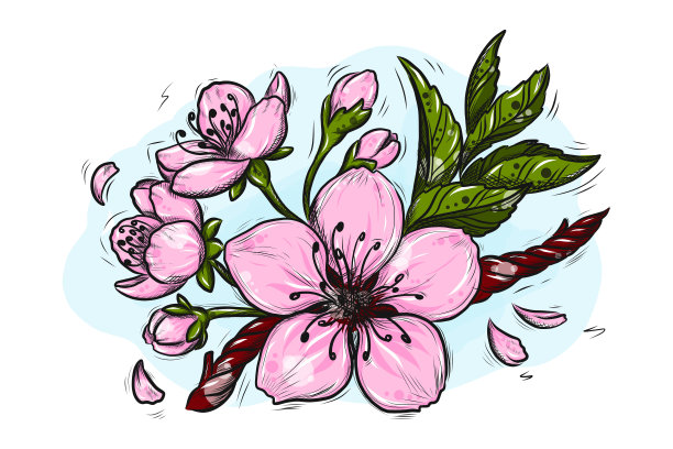 樱花矢量线艺术插图。樱花春季手绘素描季节性促销，销售，浪漫的贺卡，海报，横幅，印刷。孤立的花型没有背景图片下载