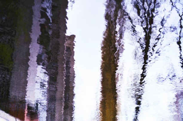 水池中的倒影。图片下载