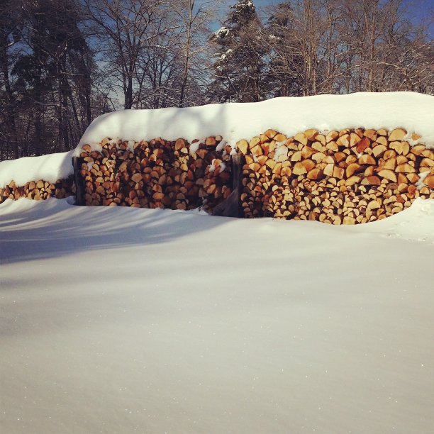 缅因州木料堆图片下载