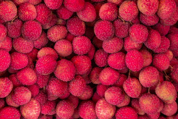 新鲜荔枝的背景。图片下载