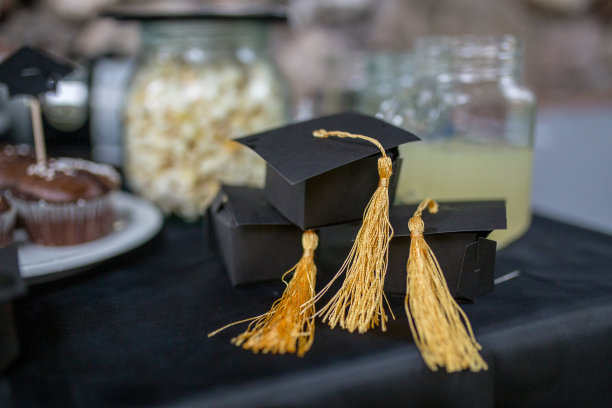 毕业晚会表图片下载