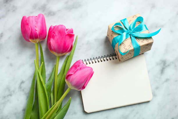 粉色郁金香和笔记本图片下载