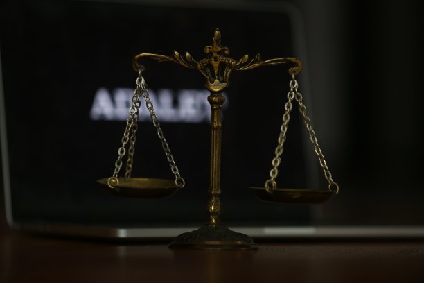 法律图片素材ID：330119622