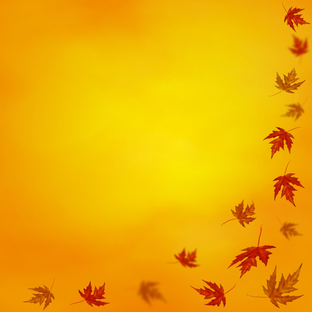 秋天背景图片下载