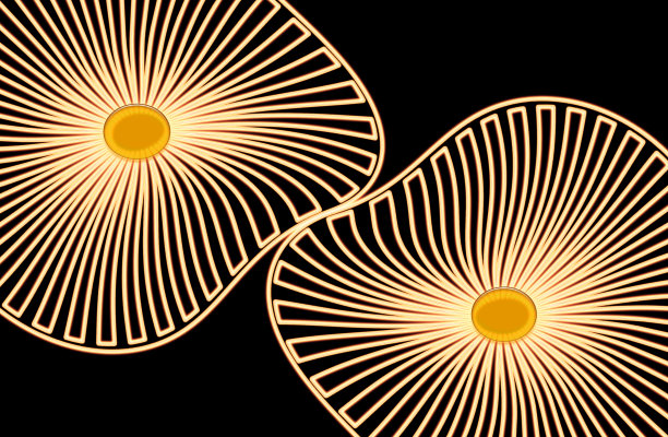 抽象的形状在黑色的背景金色图片下载