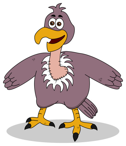 微笑的小鹰站立着图片下载