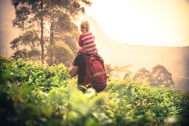父亲旅行者抱着孩子的女儿在茶园看美丽的日落风景在地平线上度假概念旅行生活方式图片下载