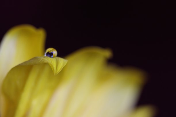 我的眼睛图片下载