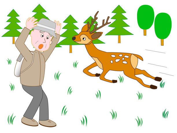 动物杀手图片下载