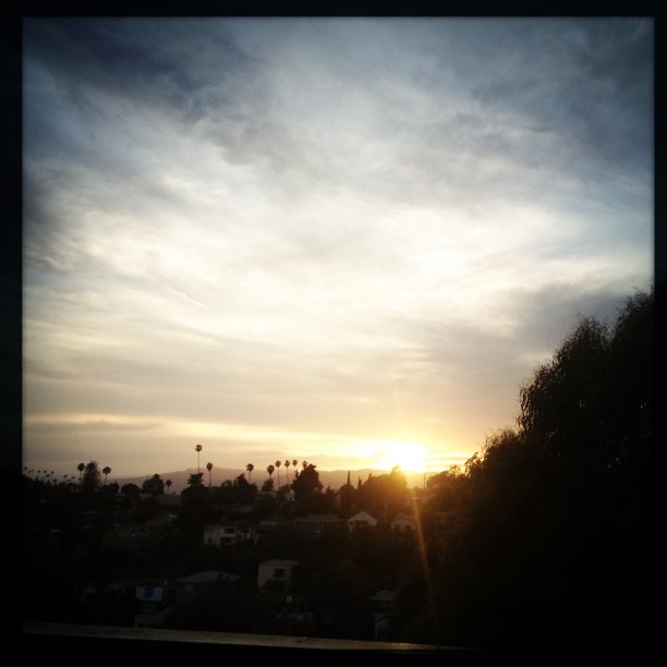 日落在洛杉矶地平线上的棕榈树图片下载