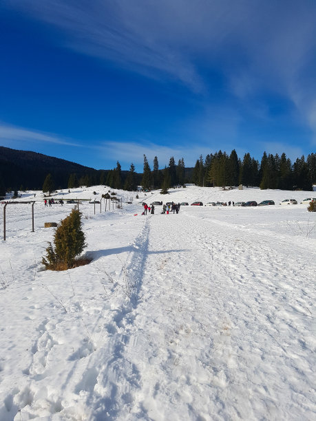 白雪皑皑的徒步旅行路线图片下载