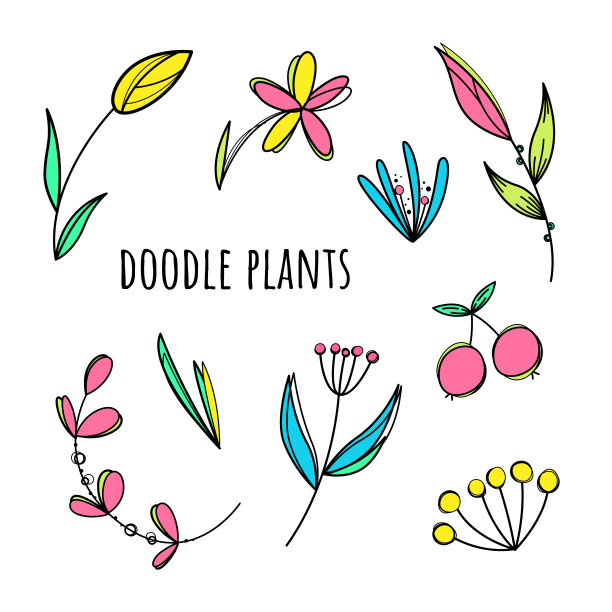 矢量涂鸦植物集。彩色插图。9元素的集合图片下载