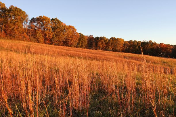 日落中的干草田图片下载