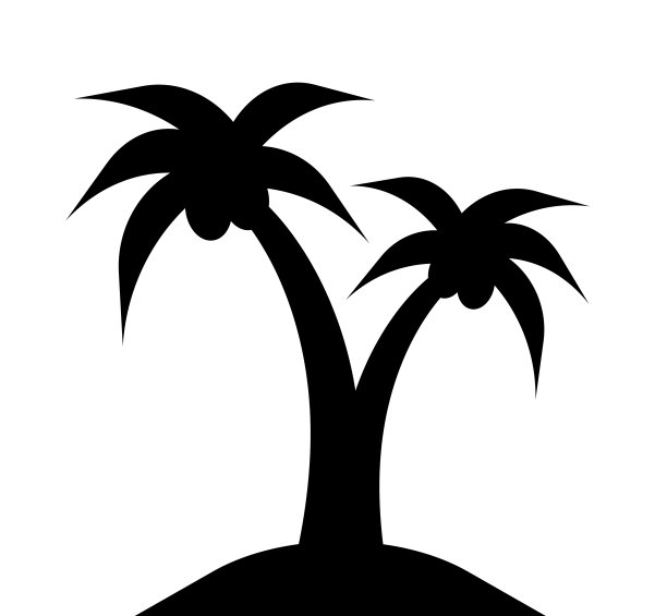 的棕榈树图片下载