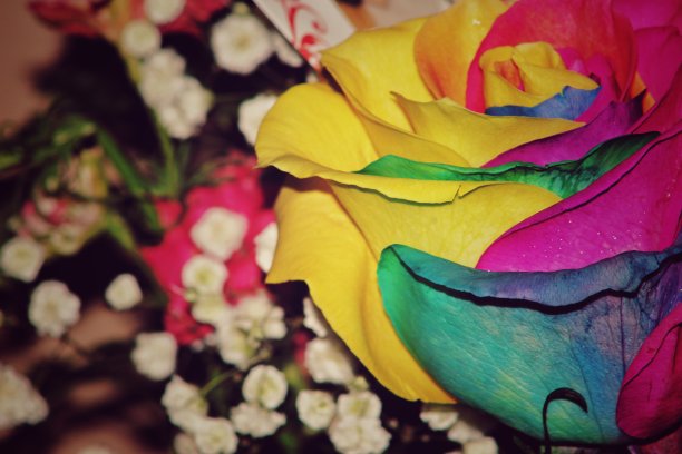 充满活力的花束图片下载