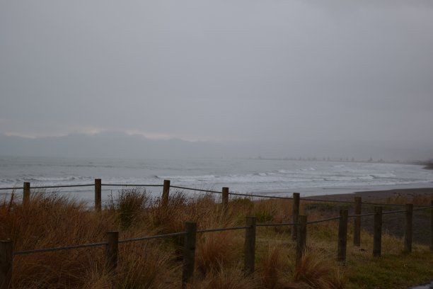 在新西兰吉斯伯恩的海滩上，阴天笼罩着草丛和剑术。图片下载