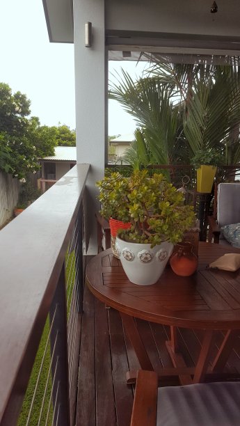 热带花园图片下载