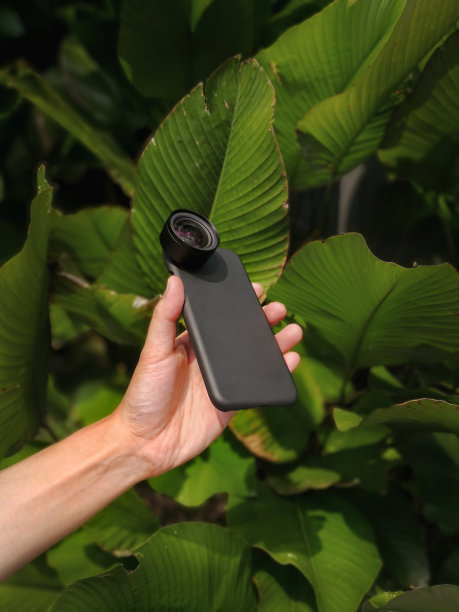 手机智能手机夹在宽镜头上，用手握住叶子绿色图片下载