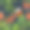 美丽的手绘图案与热带棕榈，椰子，菠萝。水彩无缝图案，夏日背景素材图片