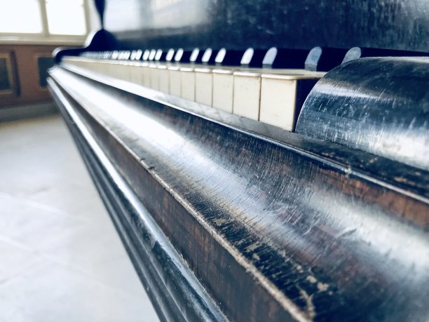 我看到莫扎特图片下载