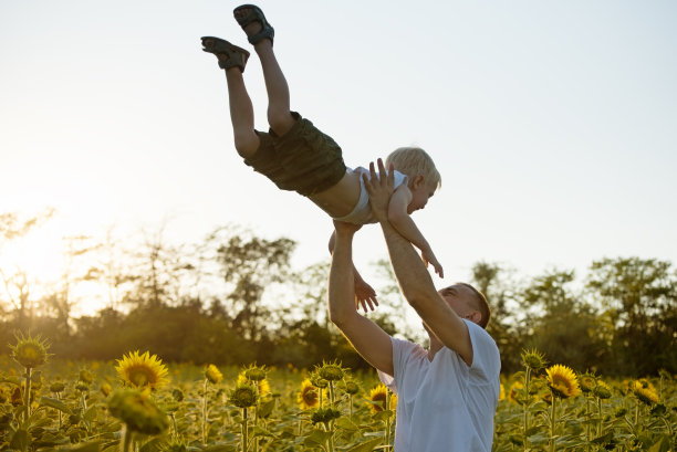 父亲把他的小儿子扔在向日葵地里图片下载