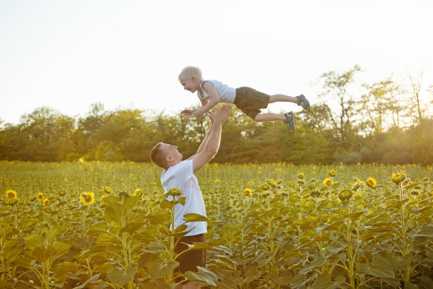 父亲把小儿子扔在阳光灿烂的向日葵地里图片下载