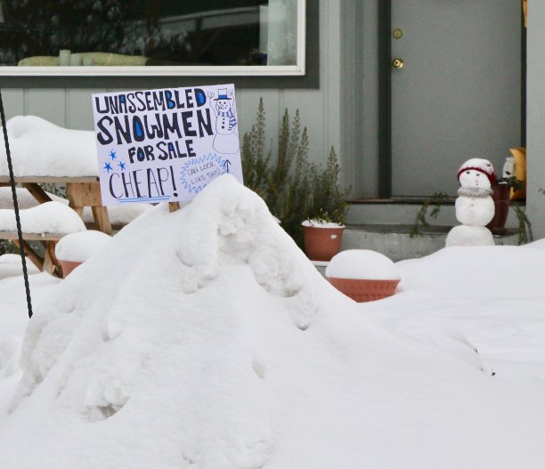 冬天的幽默图片下载