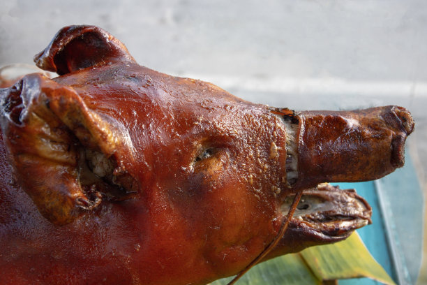 或烤猪头。整个猪烤。西班牙的节日美食。猪肉烧烤的照片。炒肉菜。图片下载