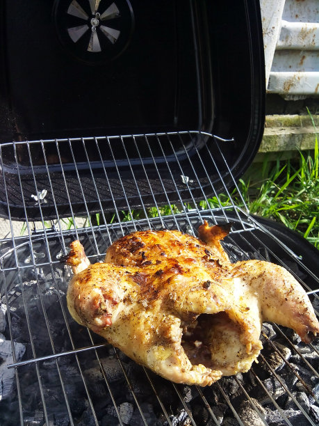 开胃的炸鸡烤在木炭上图片下载