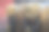 北京紫禁城铜狮头雕像图片下载