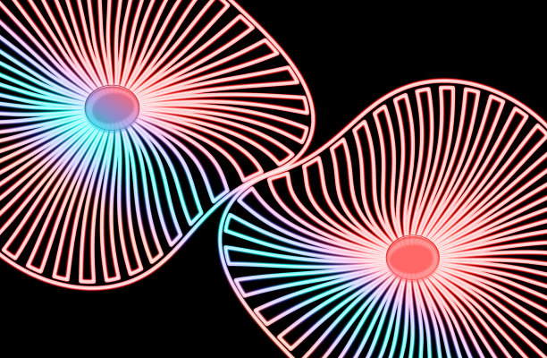 抽象的形状与粉红色和蓝色的波浪线，以黑色的背景图片下载