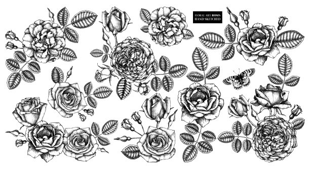 手绘玫瑰花束图片下载