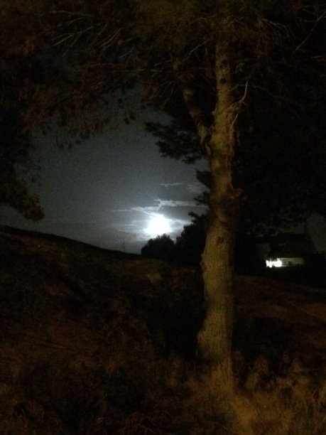 阴天晚上的满月图片下载