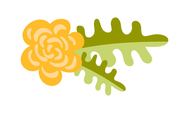 可爱的矢量孤立的花在白色的背景。春季手绘自然平面插画设计。适用于贺卡、印刷品、儿童读物图片下载