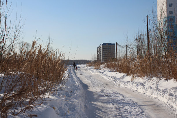 冬季，城市高层公寓楼之间的道路穿过荒地图片下载
