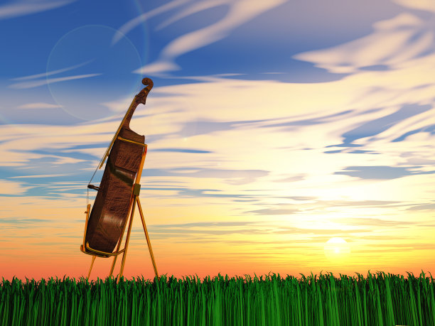 大提琴在草地上图片下载